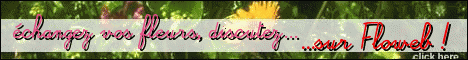 floweb Forum Index