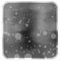 No new posts [ Locked ]