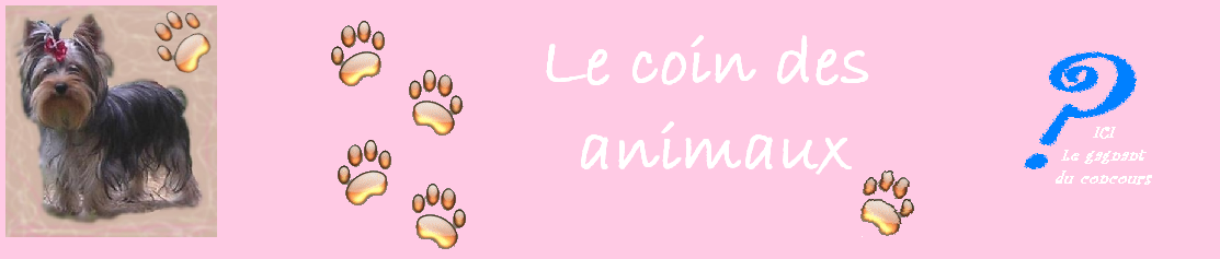 Pour.nos.animox : Le coin des animaux pour mieux les comprendre et les aimer Forum Index