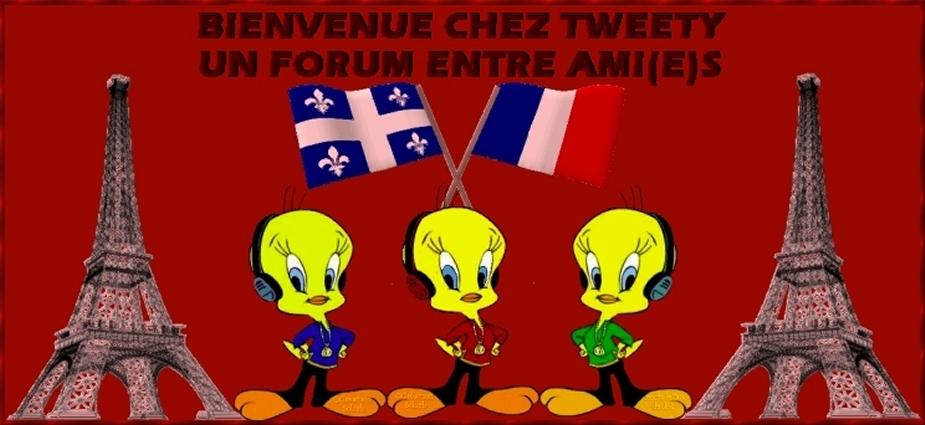 BIENVENUE CHEZ TWEETY Forum Index