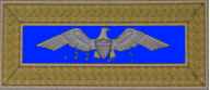 Colonel infanterie