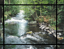 http://img2.xooimage.com/files/b/9/1/untitled-1rr-e665cb.png
