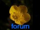   PICTURESLAND Forum Index
