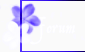  Forum Index