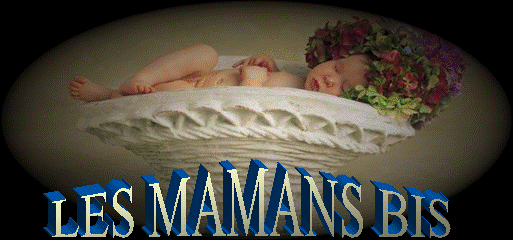 LES MAMANS BIS Forum Index