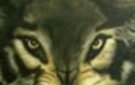 Ce forum est verrouillé; vous ne pouvez pas poster, ni répondre, ni éditer les sujets. Ce forum est verrouillé; vous ne pouvez pas poster, ni répondre, ni éditer les sujets.