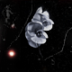 No new posts [ Locked ]