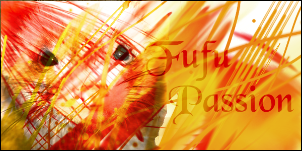fufu-passion  Forum Index