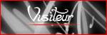 Visiteurs