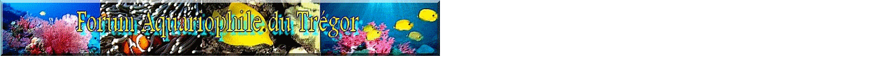 Forum Aquariophile du Trégor  Forum Index