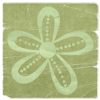No new posts [ Popular ]