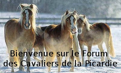 Les cavaliers de la Picardie Forum Index