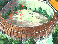 http://img2.xooimage.com/files/e/6/2/stade-fe573-17f89c.jpg