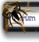 Black Warriors Paintball Team  Forum Index