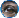 New posts